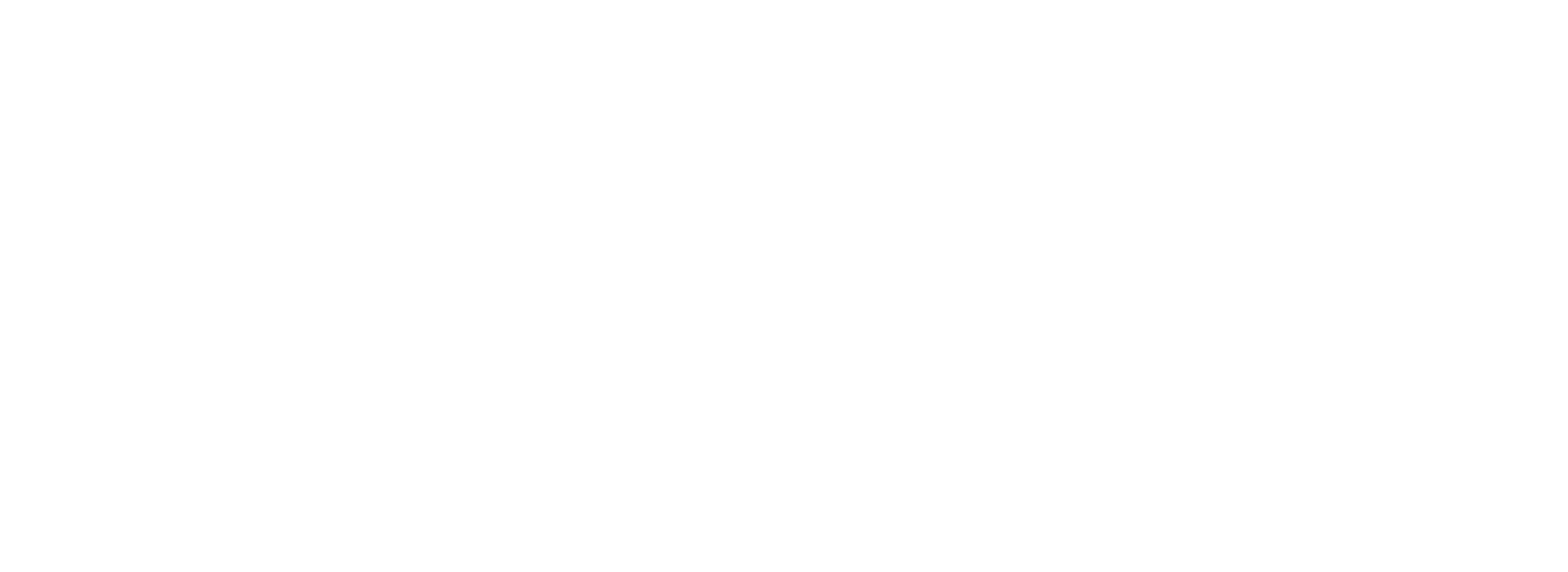 SOLAS Travel Logo